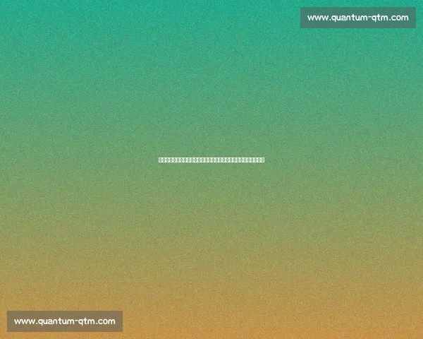 旱地冰壶与盲人门球推广：广东残特奥会搭建残疾人社会融合新桥梁