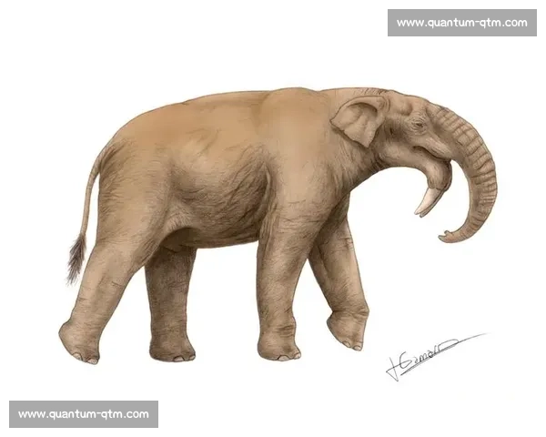 大象与自然界其他动物的生存竞争与生态角色深度解析