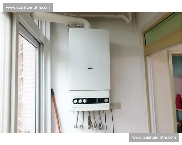 Baxi VS燃气壁挂炉性能解析与节能效果全面对比指南 Baxi VS燃气壁挂炉性能解析与节能效果全面对比指南